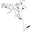 Soie logo